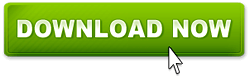 Download 2006 07 08 Toyota RAV 4 Factory Service Repair Manual